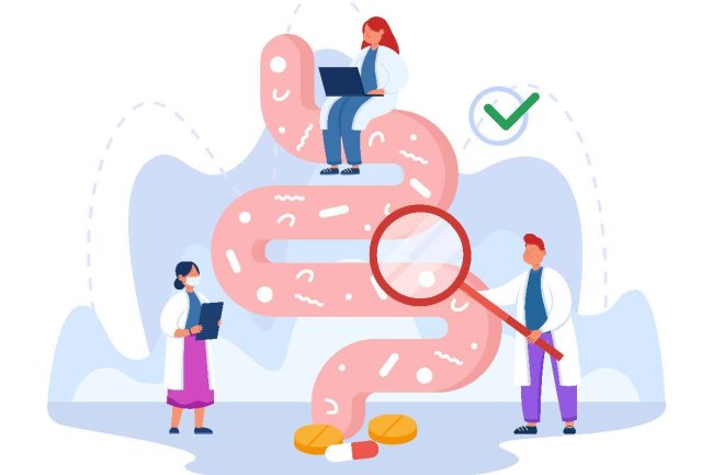 Unlocking the Wonders of the Gut Microbiome