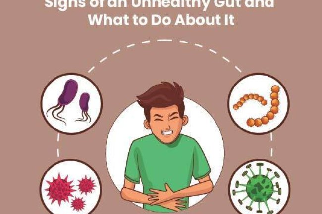 Signs of an Unhealthy Gut and What to Do About It