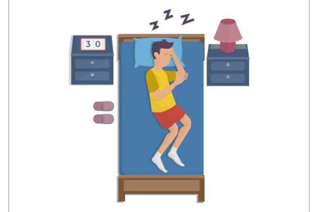 The Sleep Cycle: A Symphony of Phases